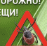 Осторожно! Клещи! - Газета Знамя Октября
