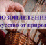 Лозоплетение  – ремесло плетения из лозы (материала растительного происхождения) ёмкостей различного назначения, домашней утвари, мебели. Всё это изготавливают из ивового прута, ротанга, бамбука, корня, виноградной лозы. - Управление культуры, спорта и молодёжной политики