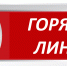 «Горячая  линия» для инвалидов и женщин. - Центр занятости населения