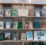 Книжная выставка «Великий мастер языка и слова» - МЦБС г. Пласт