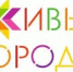 Ведущие эксперты страны приглашают на программу “Практики созидания” в Общероссийский проект ”Городская среда будущего. Практики созидания” - Пластовский район