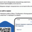 На портале «Госуслуги» можно уведомить о безнадзорном животном - Пластовский район
